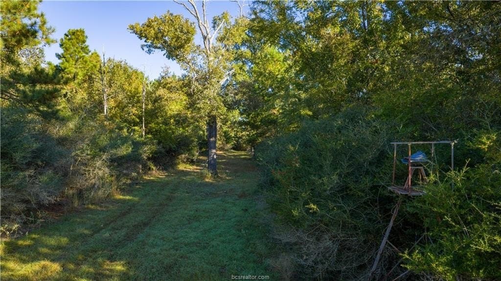 171 acres in Leon County - photo 44