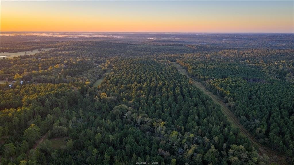 171 acres in Leon County - photo 6