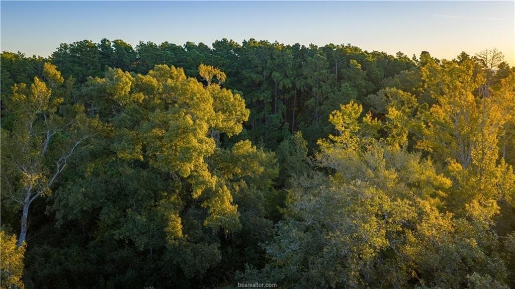 171 acres in Leon County gallery image 2