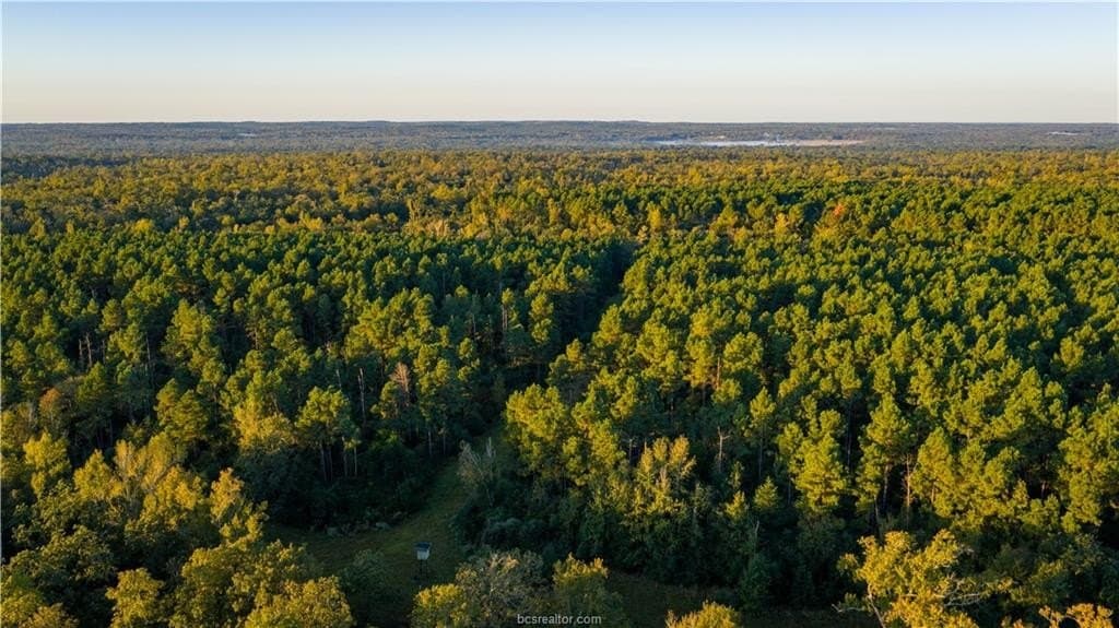 171 acres in Leon County - photo 24