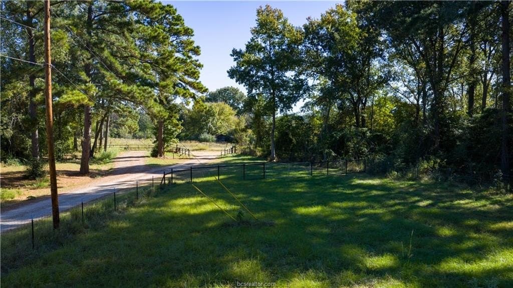171 acres in Leon County - photo 48