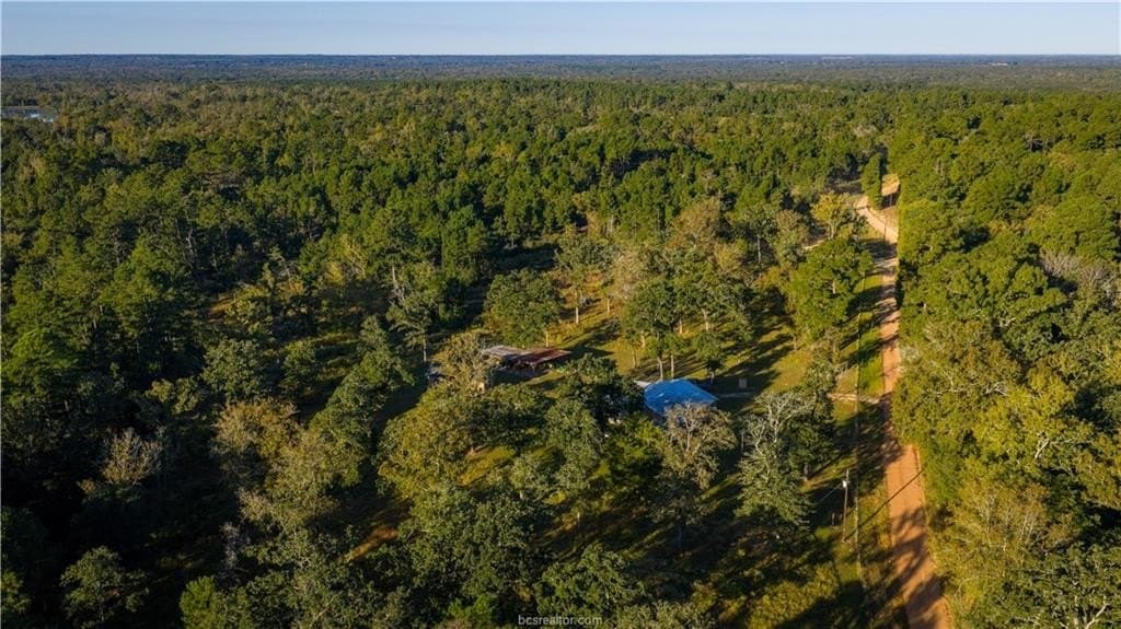 171 acres in Leon County - photo 39
