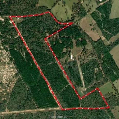 171 acres in Leon County - photo 50