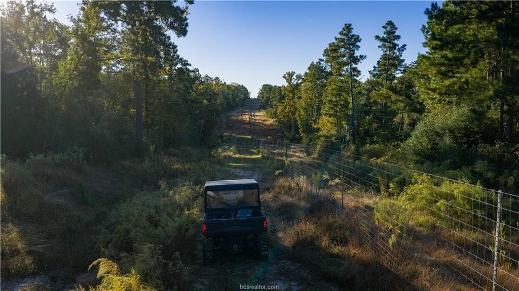 171 acres in Leon County - photo 40