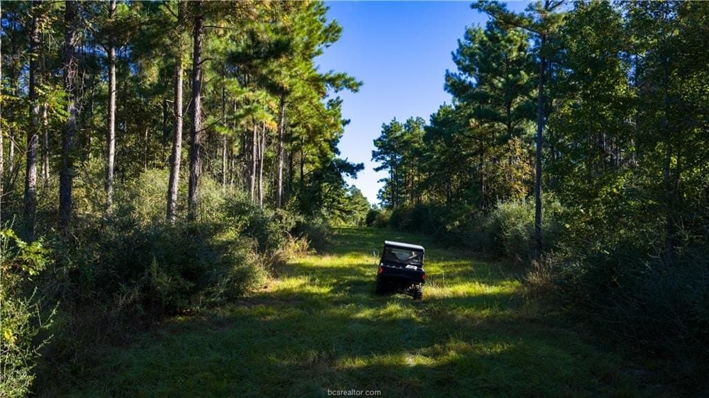 171 acres in Leon County - photo 8
