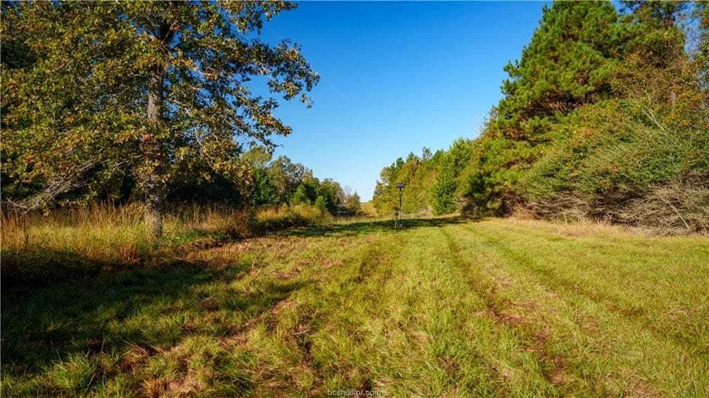 171 acres in Leon County - photo 25