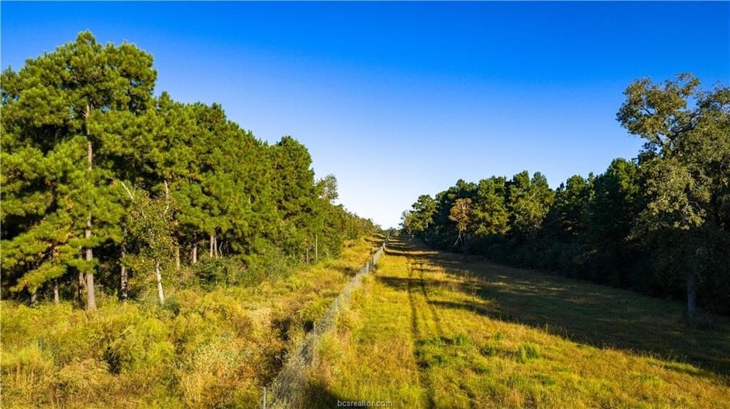 171 acres in Leon County - photo 42