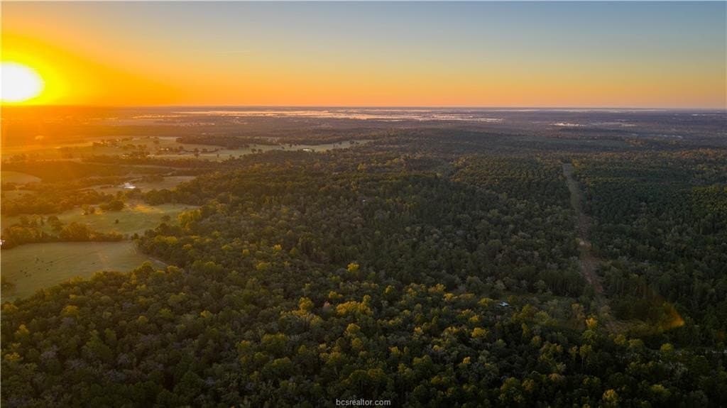171 acres in Leon County - photo 34