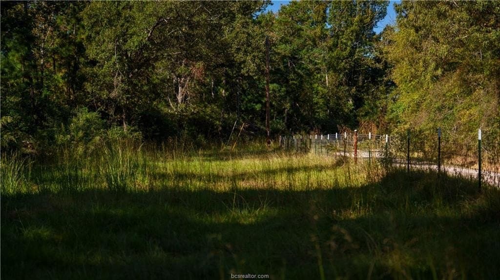 171 acres in Leon County - photo 30