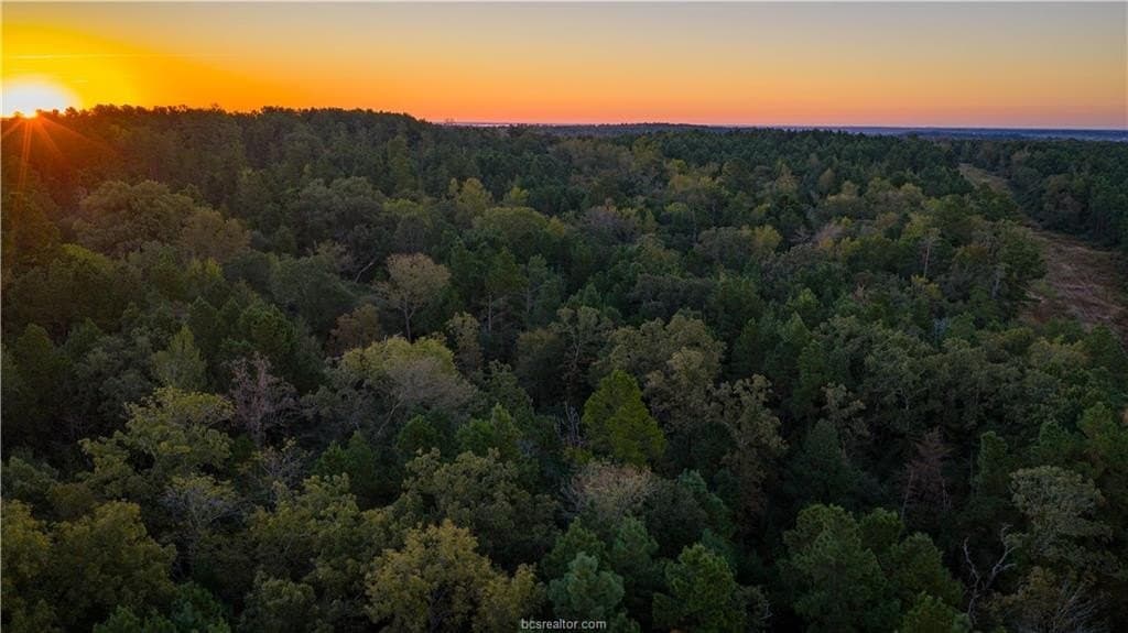 171 acres in Leon County featured view
