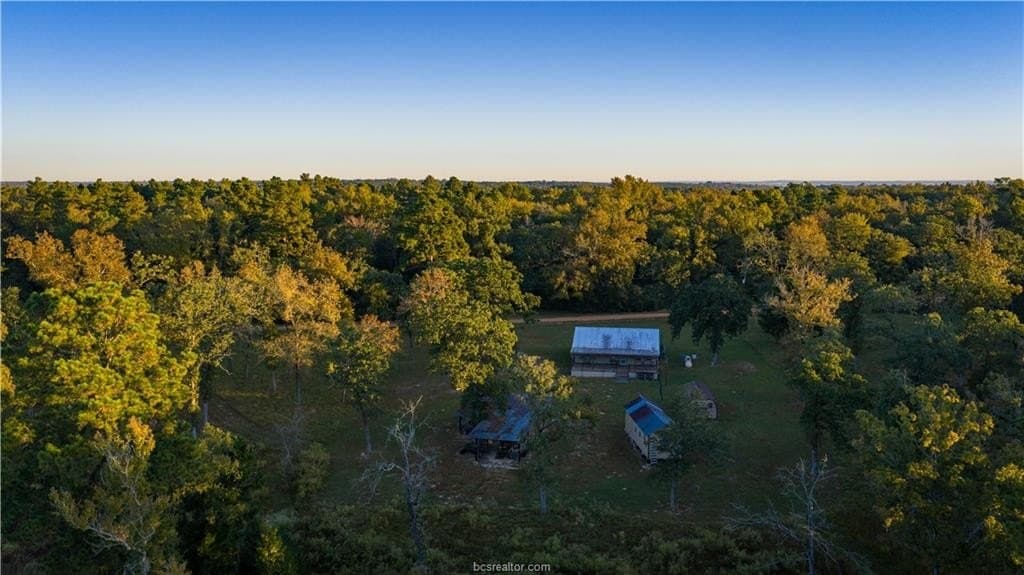 171 acres in Leon County - photo 20