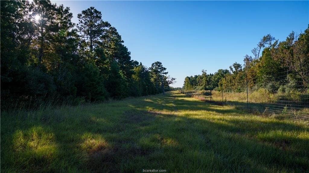 171 acres in Leon County - photo 33