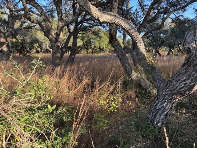 1 acres in Texas County - photo 3