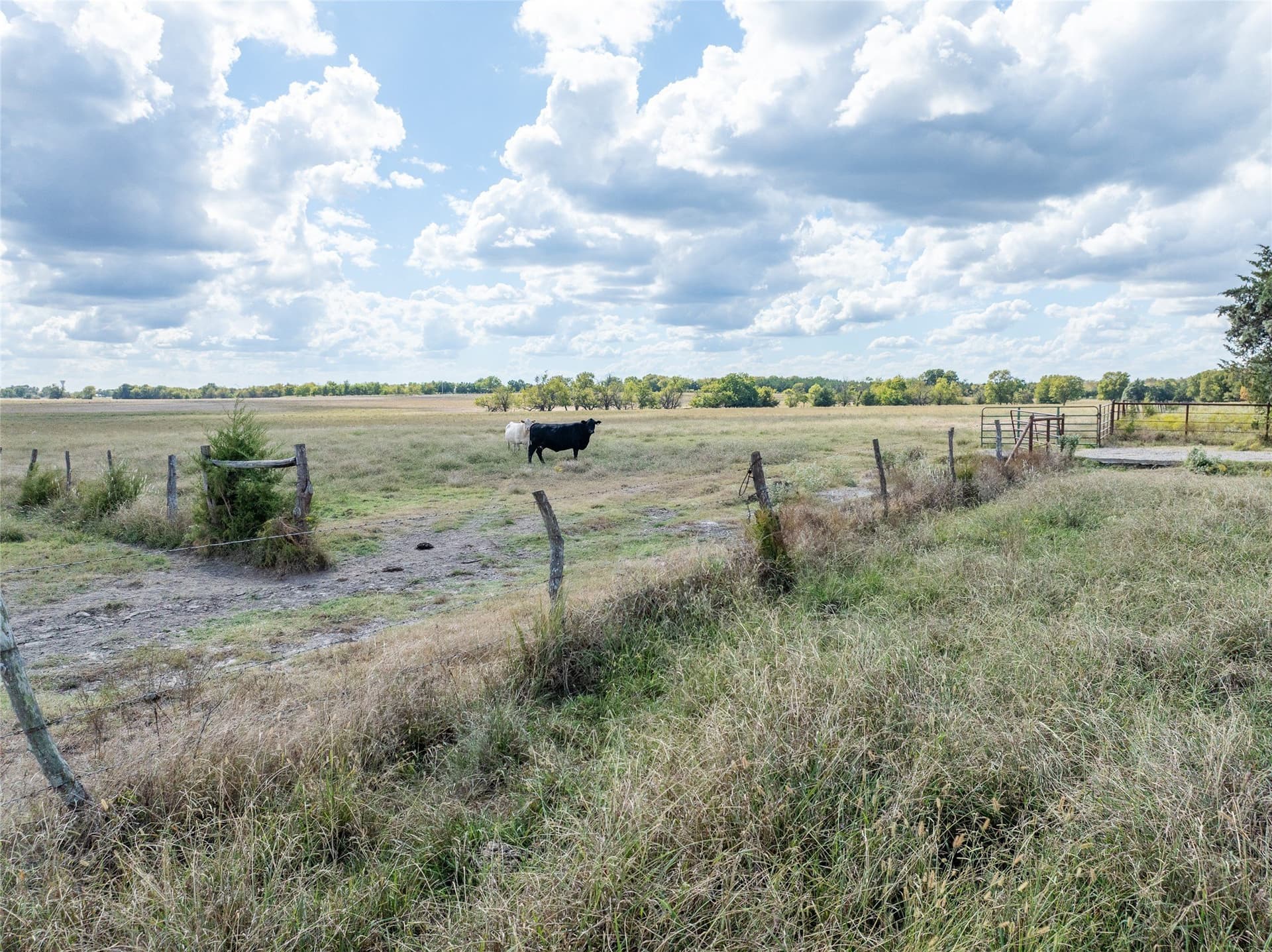 327.06 acres in Lamar County - photo 17