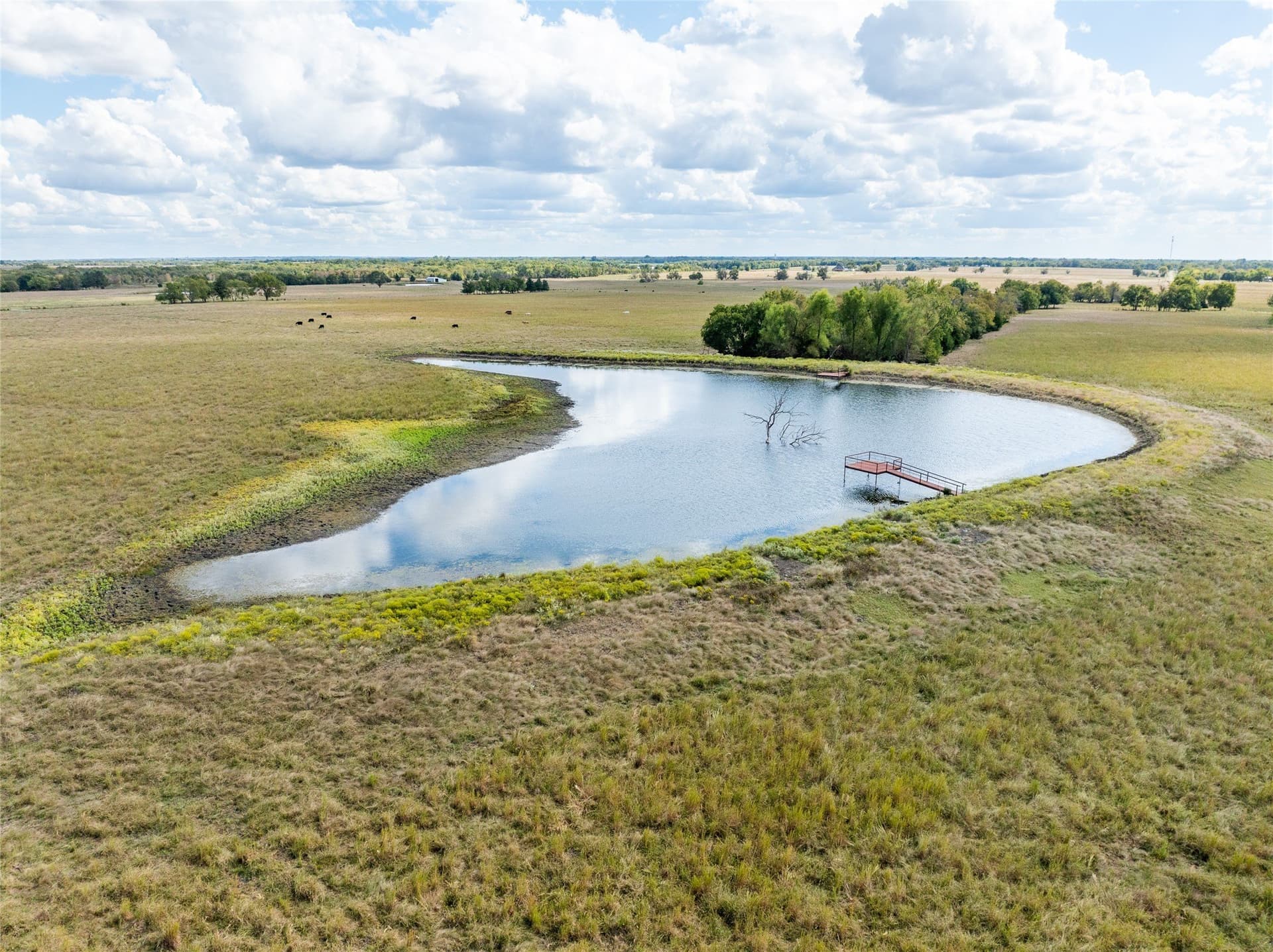 327.06 acres in Lamar County - photo 6