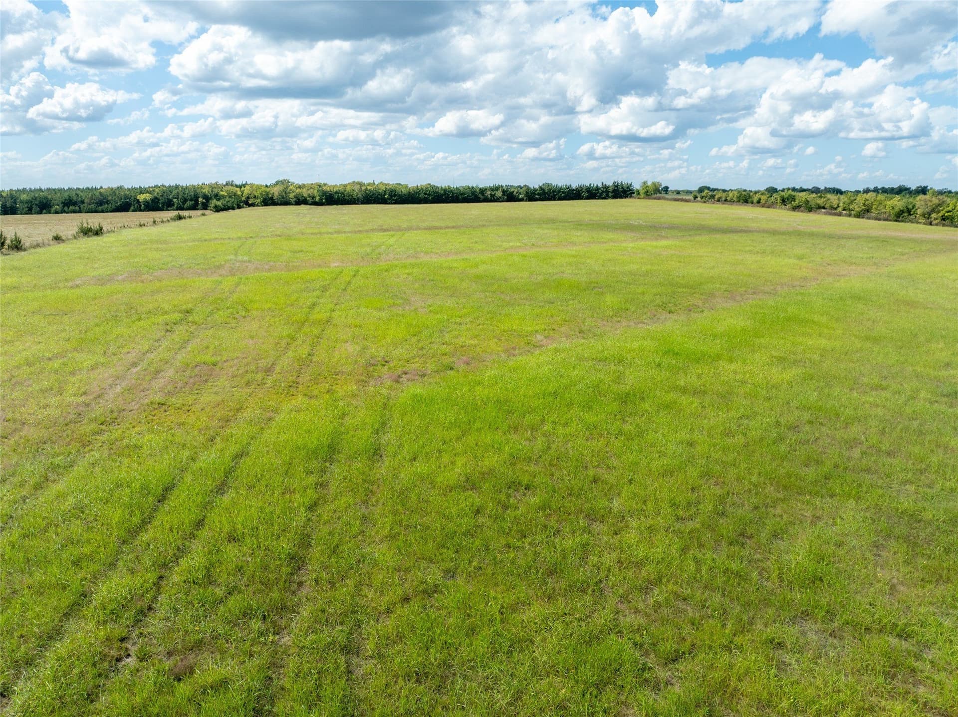327.06 acres in Lamar County - photo 10
