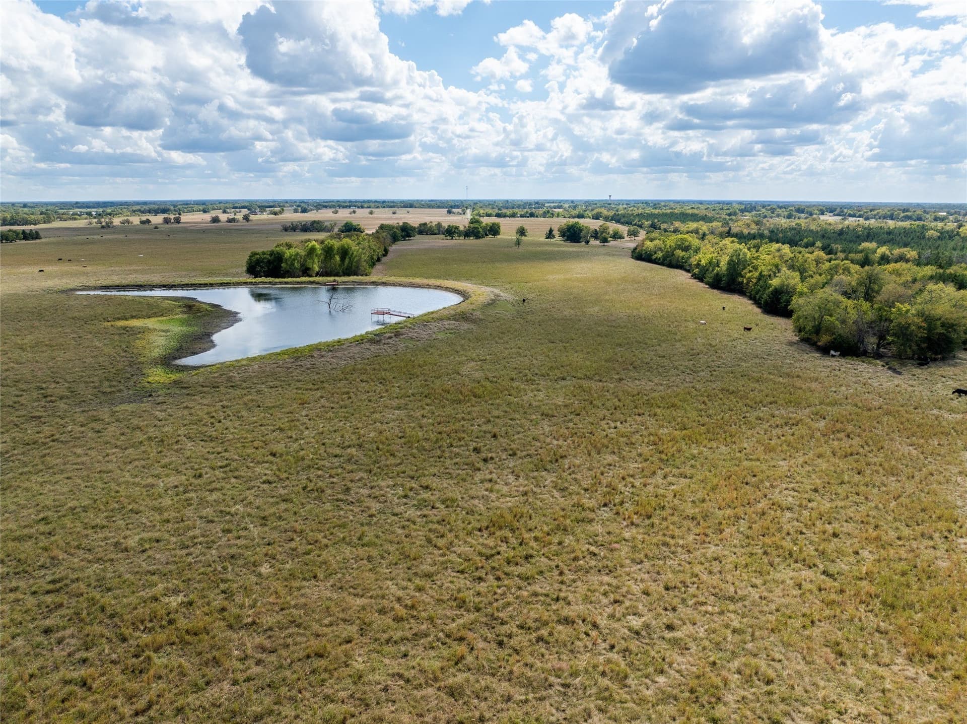 327.06 acres in Lamar County - photo 5