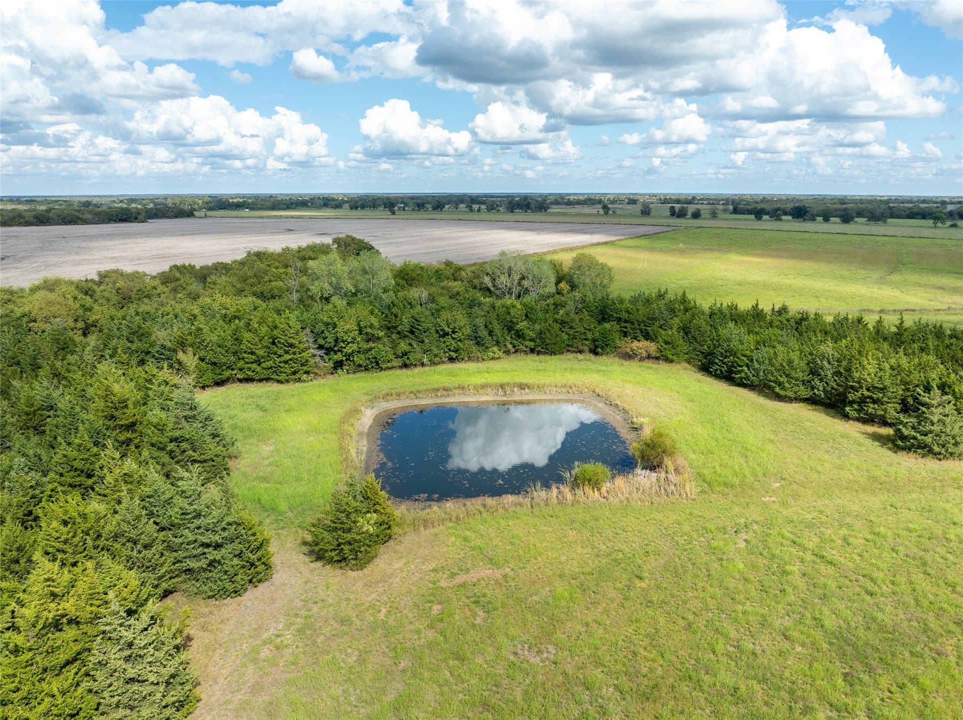 327.06 acres in Lamar County - photo 9