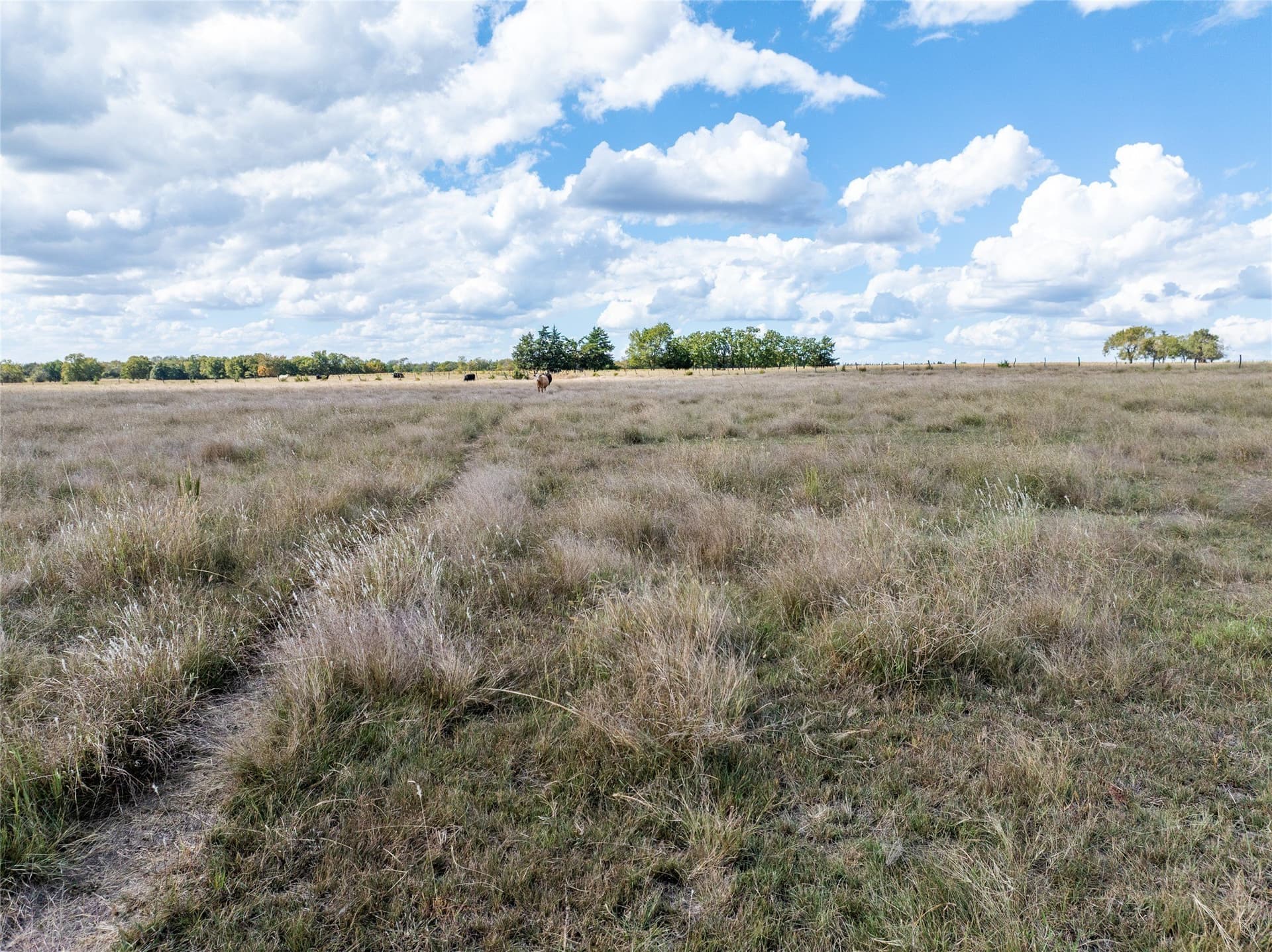 327.06 acres in Lamar County - photo 15