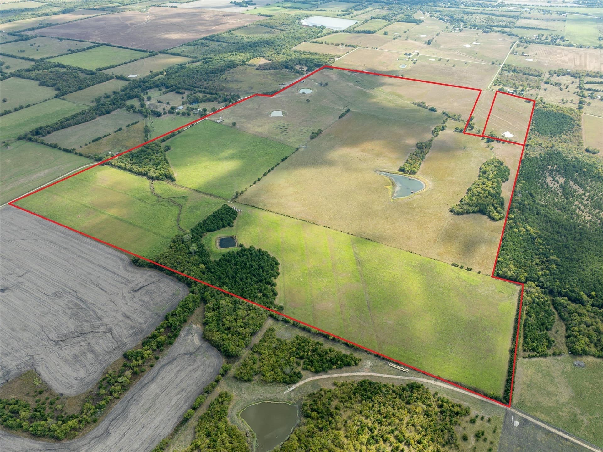 327.06 acres in Lamar County - photo 2
