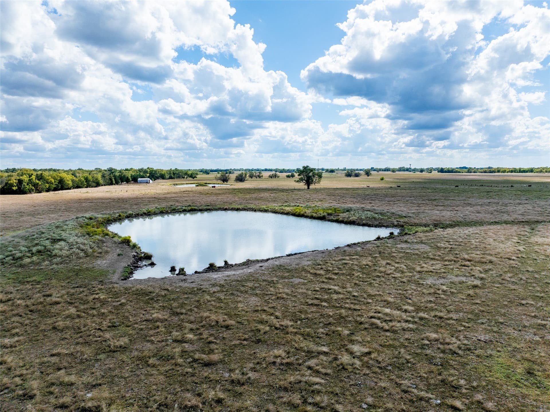 327.06 acres in Lamar County - photo 3