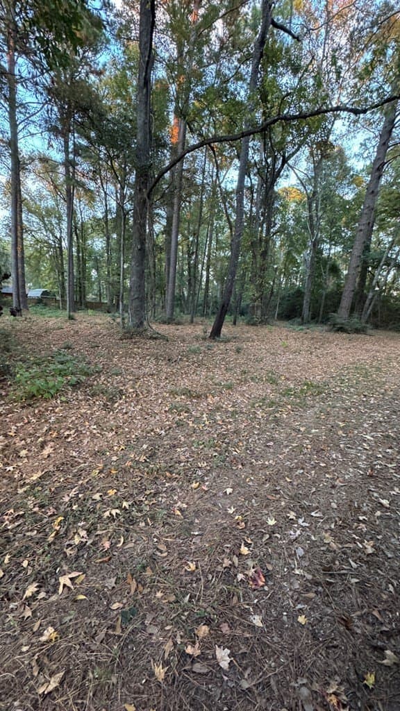 0.62 acres in Texas County - photo 7