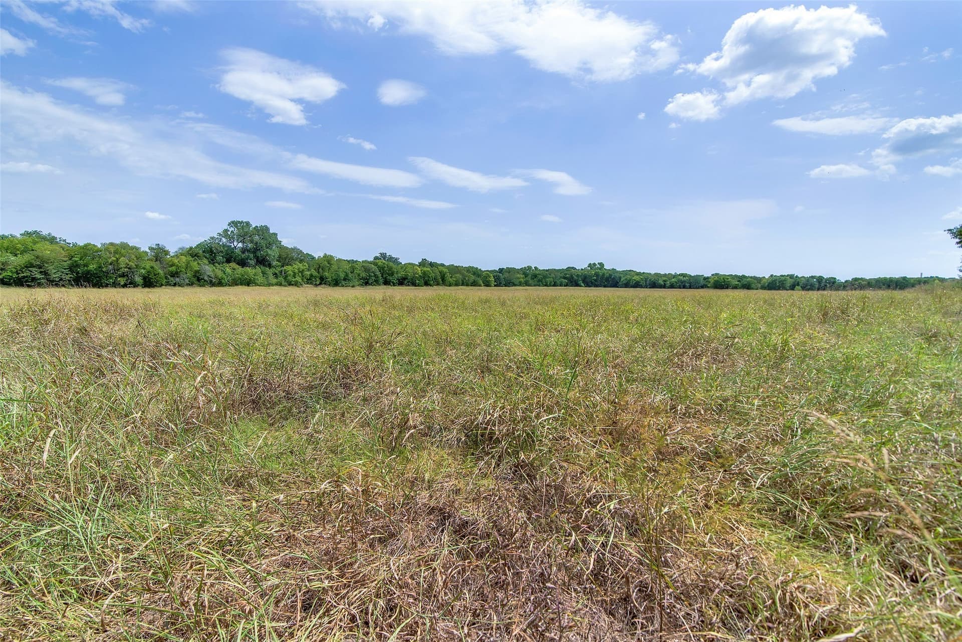 47.66 acres in Collin County - photo 27