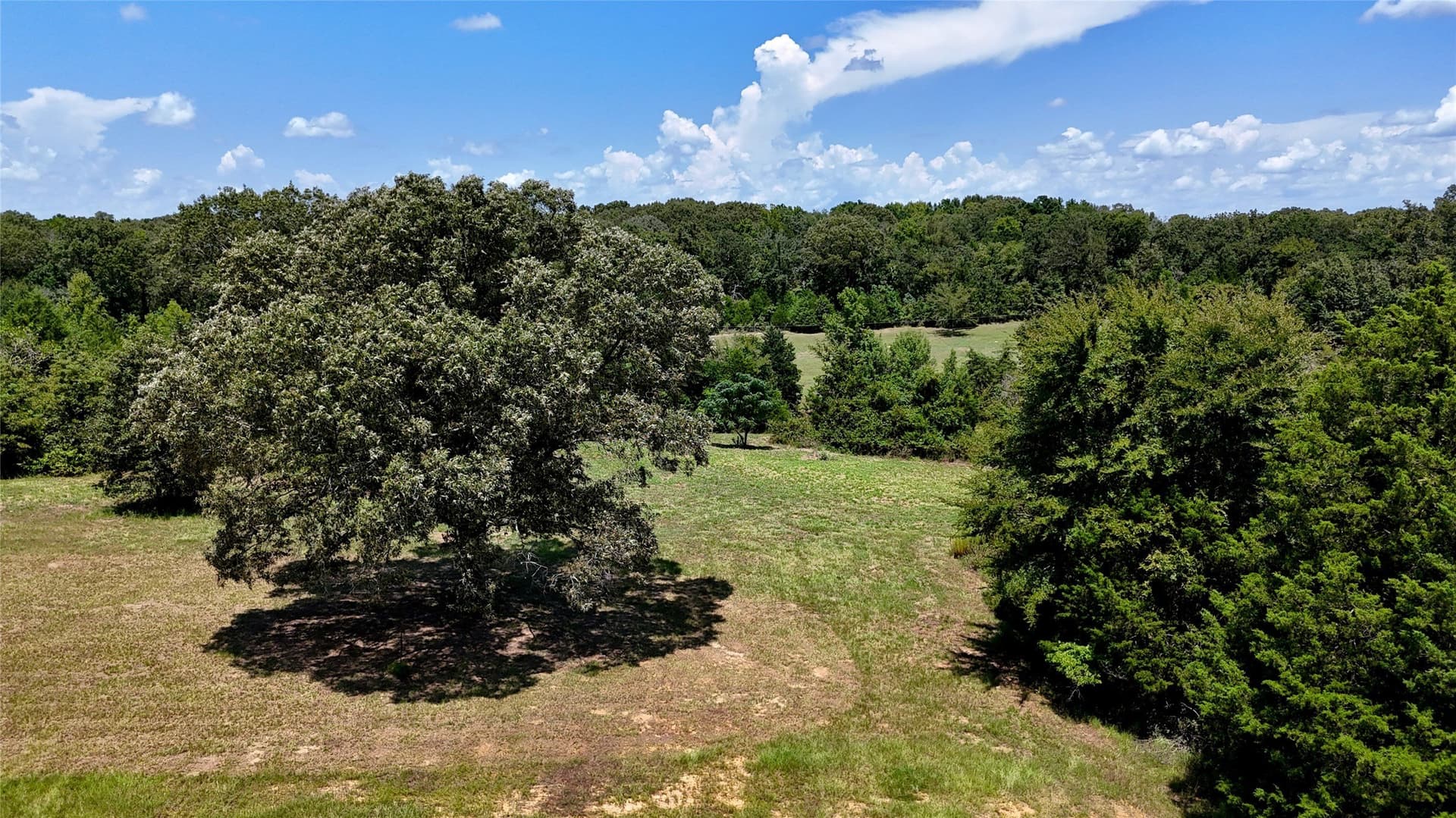 8 acres in Henderson County - photo 6
