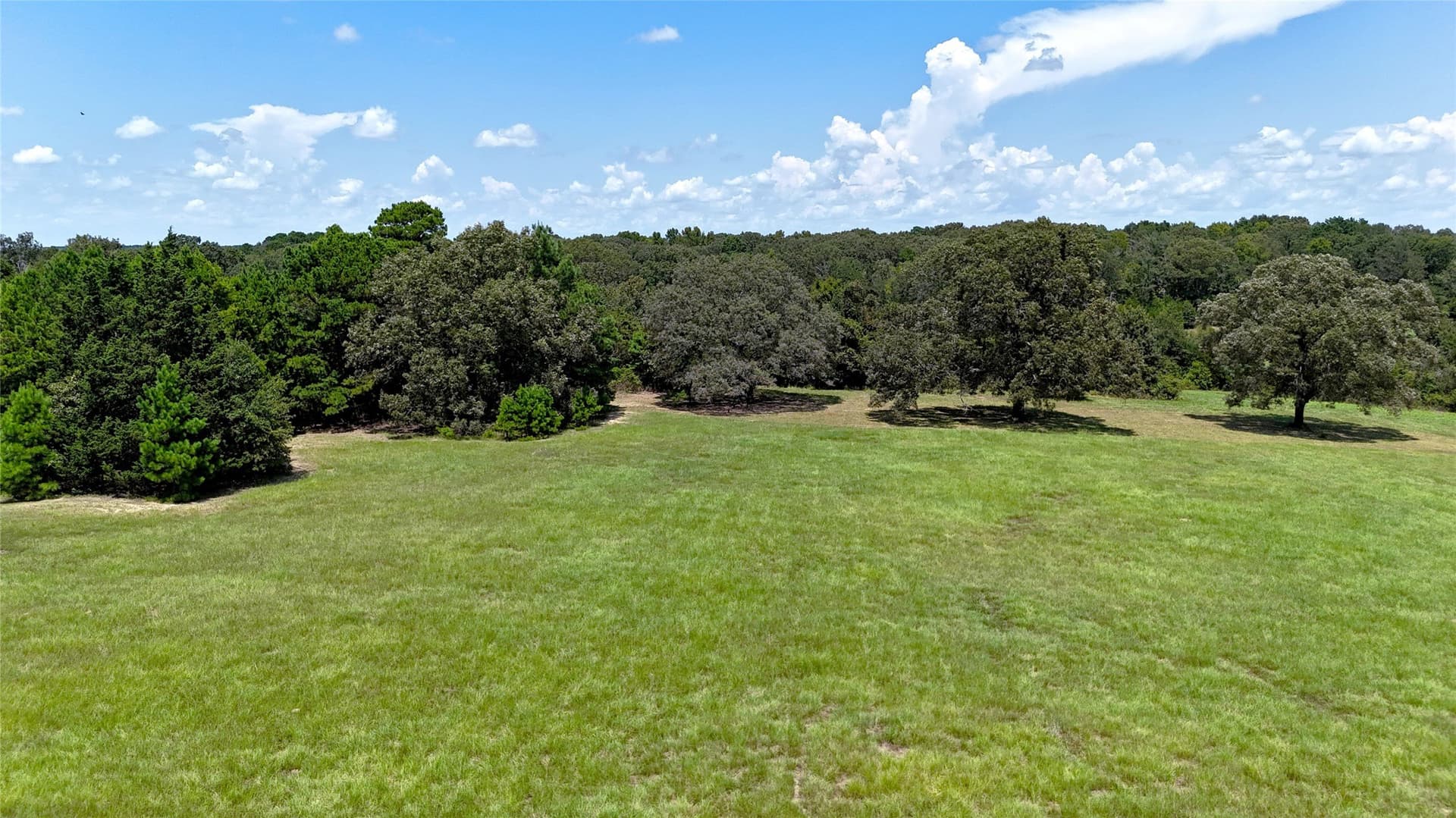 8 acres in Henderson County - photo 5