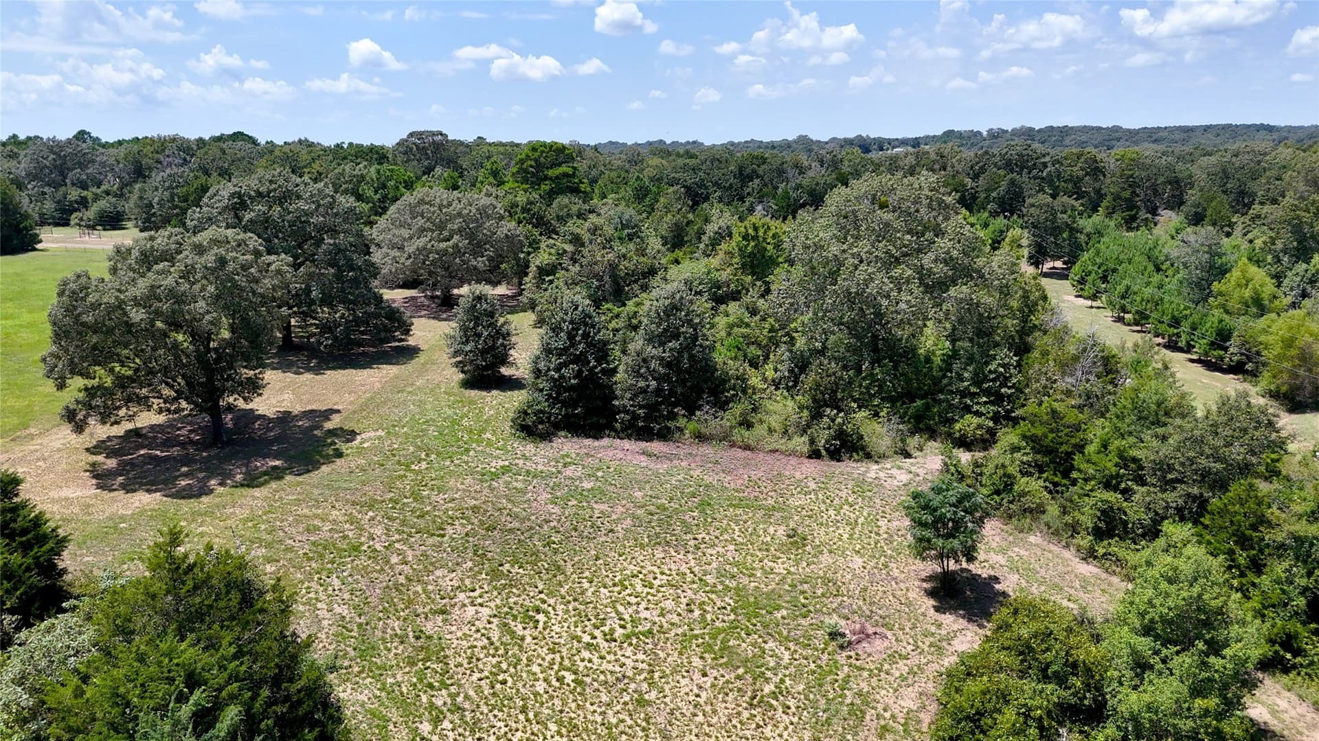 8 acres in Henderson County - photo 7