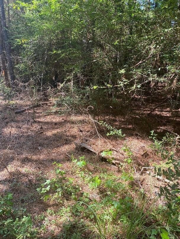 3.5 acres in Texas County - photo 2
