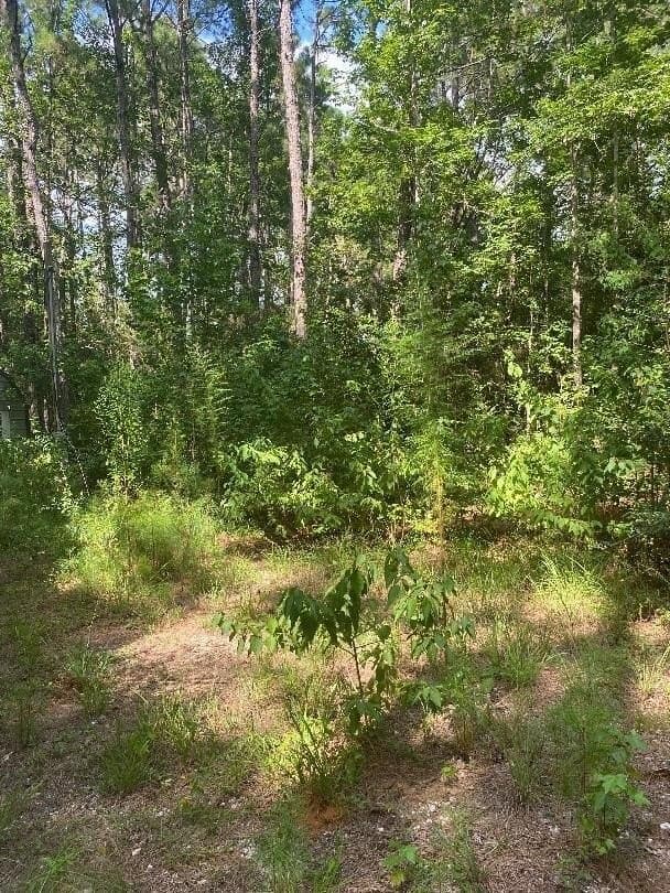 3.5 acres in Texas County - photo 5