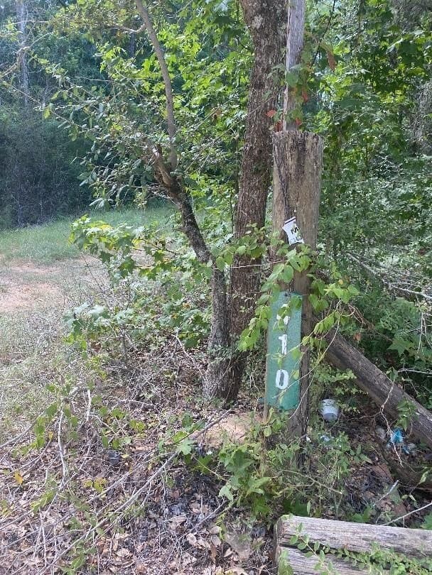 3.5 acres in Texas County