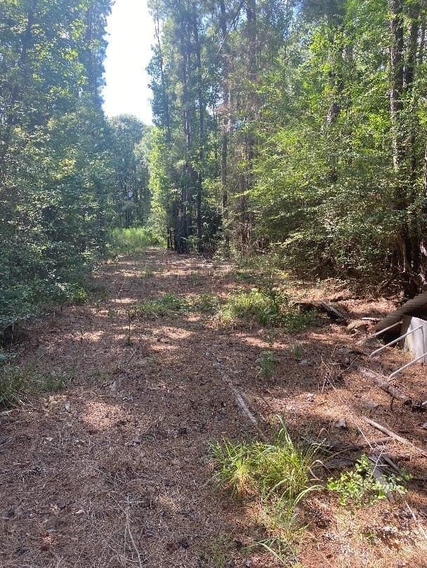 3.5 acres in Texas County - photo 3
