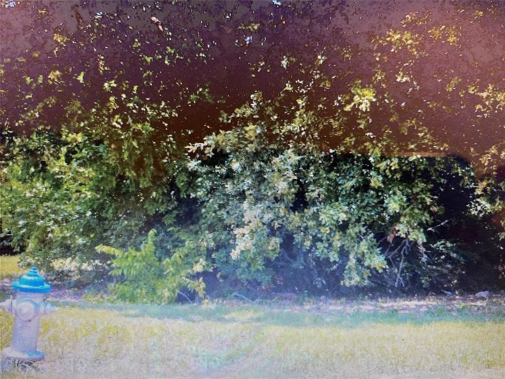 0.37 acres in Dallas County gallery image 4