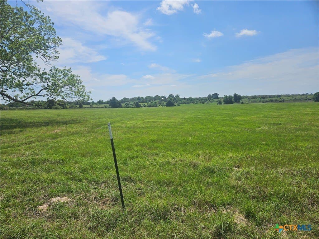 84 acres in Milam County - photo 8