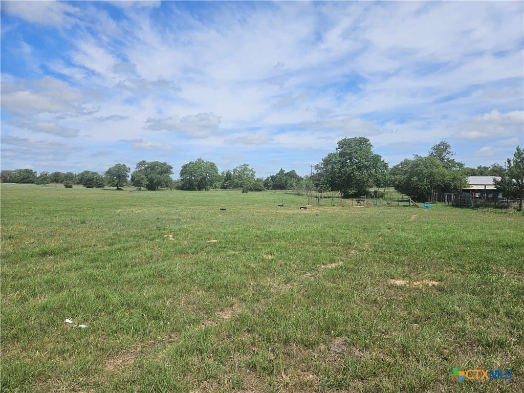 84 acres in Milam County - photo 11