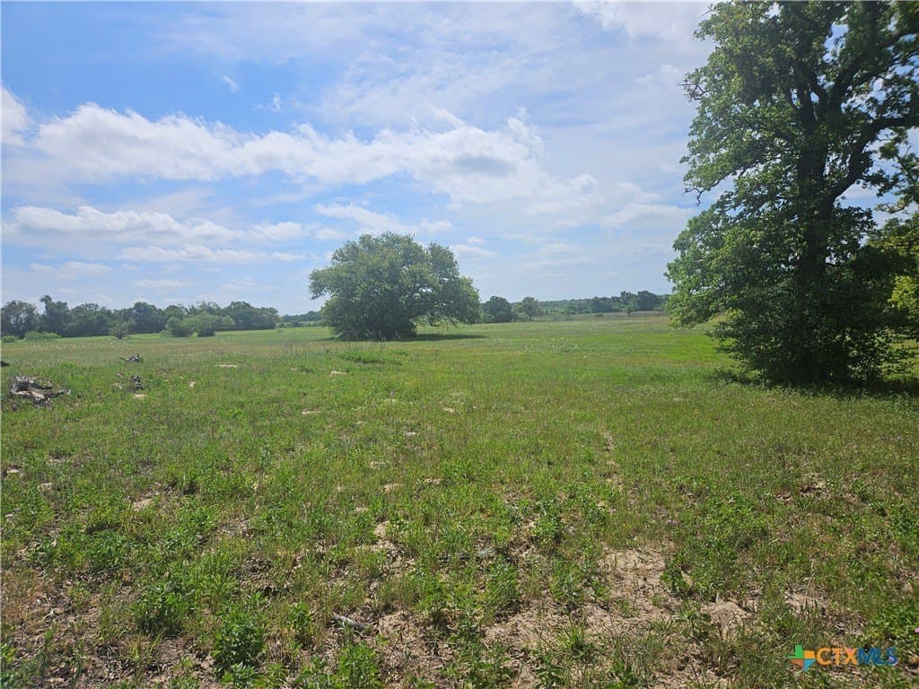 84 acres in Milam County featured view