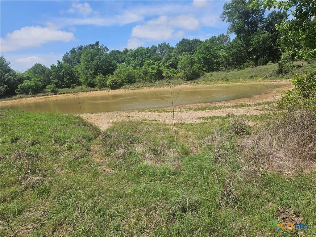 84 acres in Milam County - photo 7