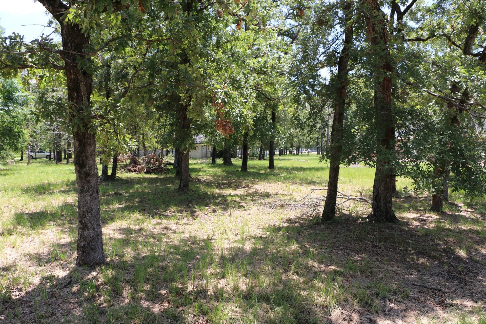0.48 acres in Henderson County - photo 3