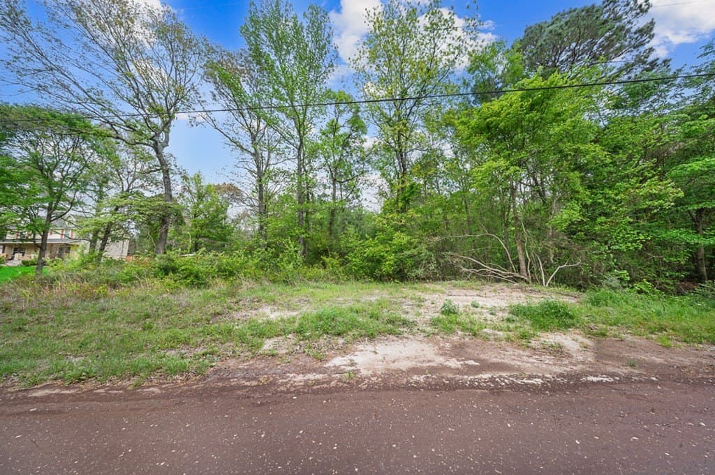 1.14 acres in Texas County gallery image 3