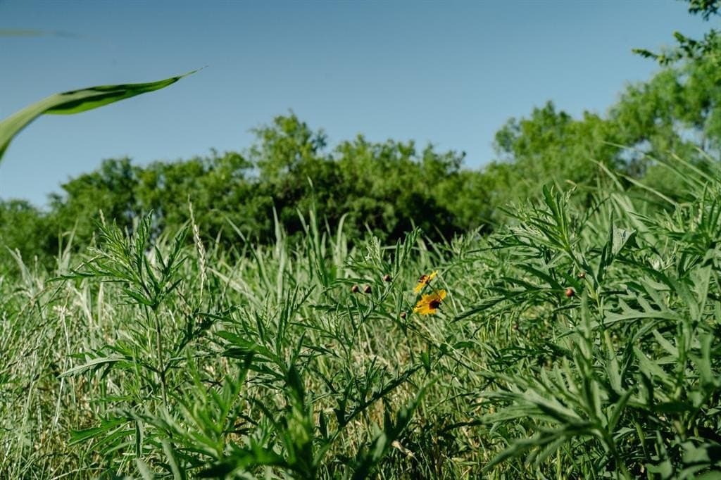 10 acres in Young County featured view