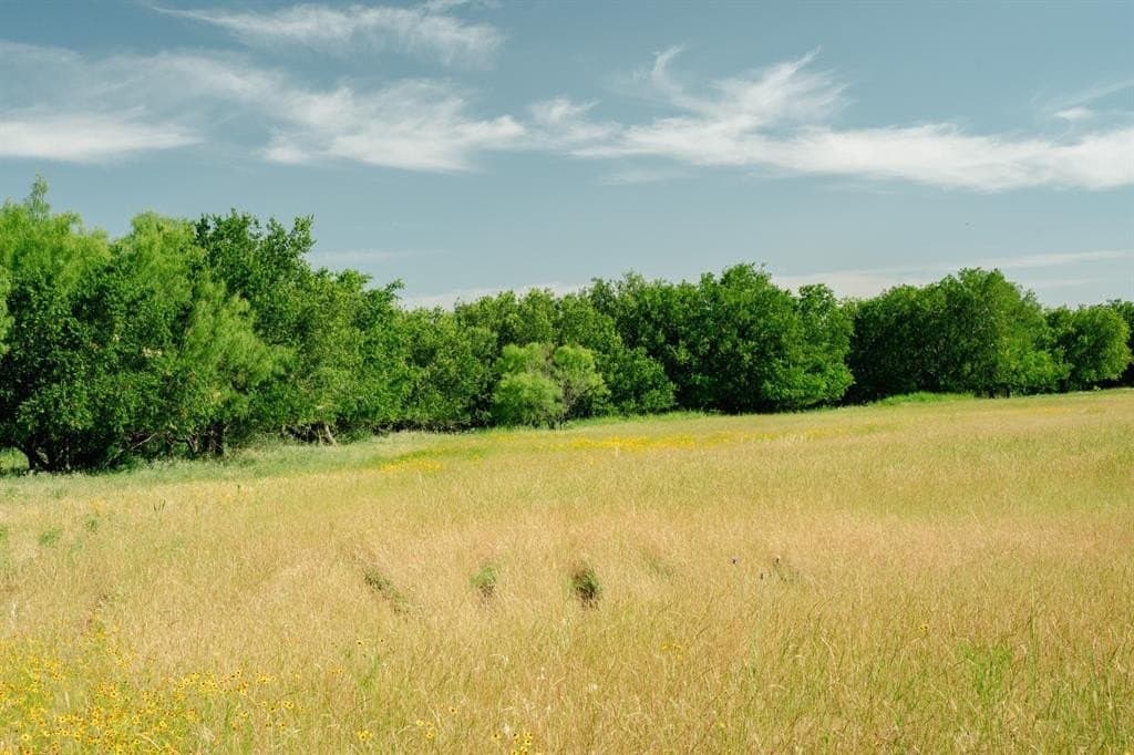 10 acres in Young County gallery image 2