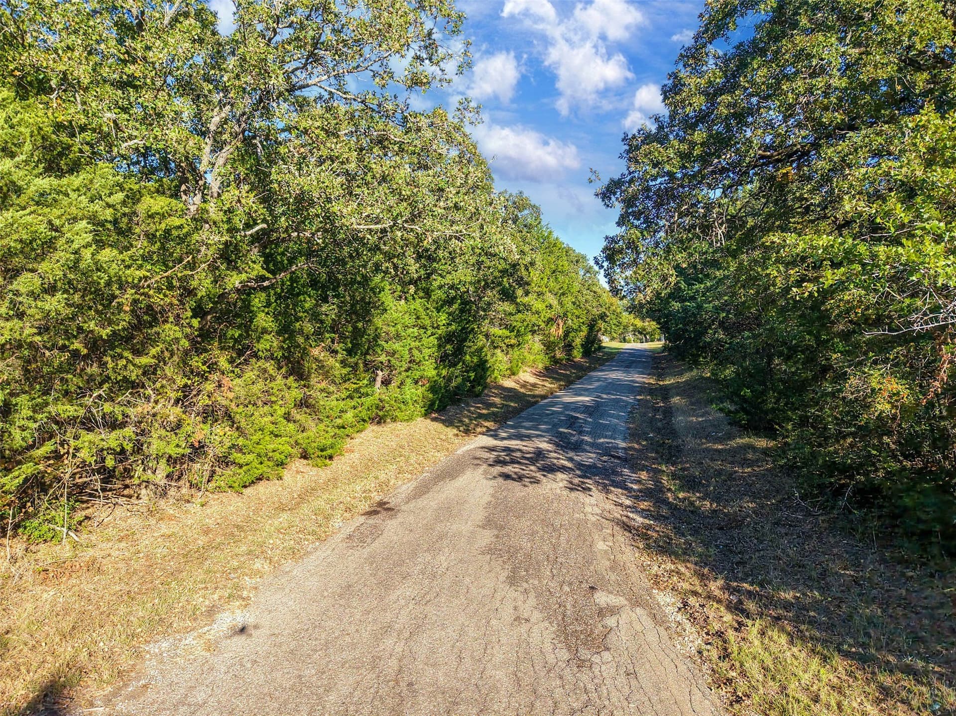 40 acres in Freestone County - photo 24