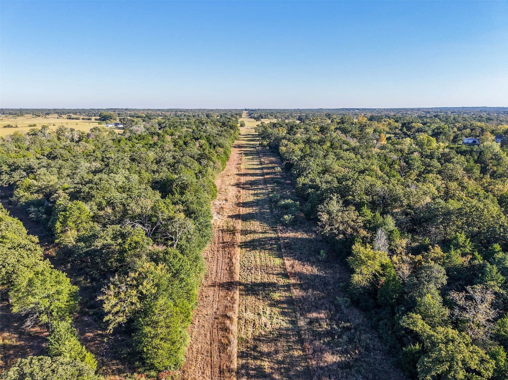 40 acres in Freestone County - photo 17