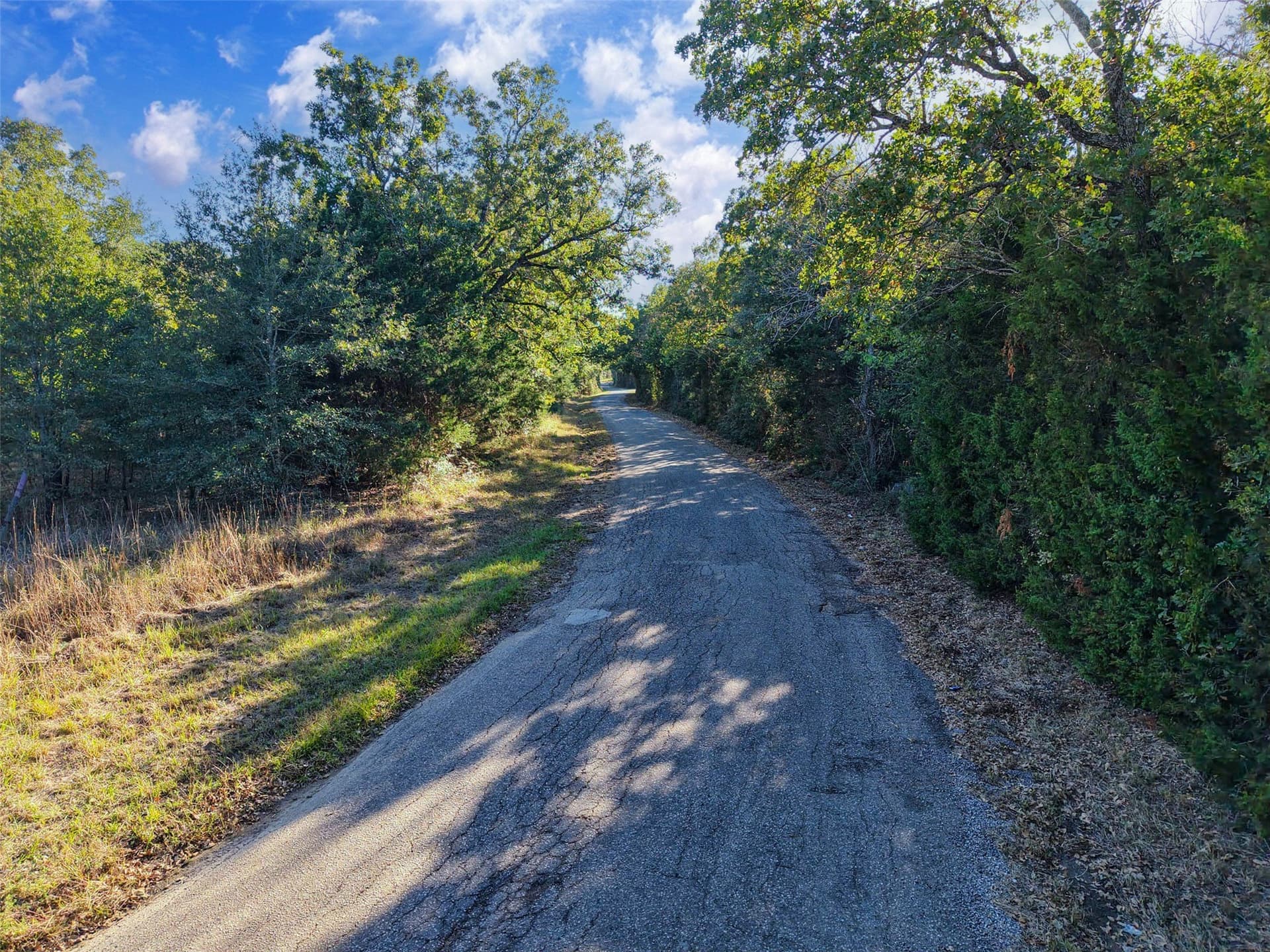 40 acres in Freestone County - photo 25