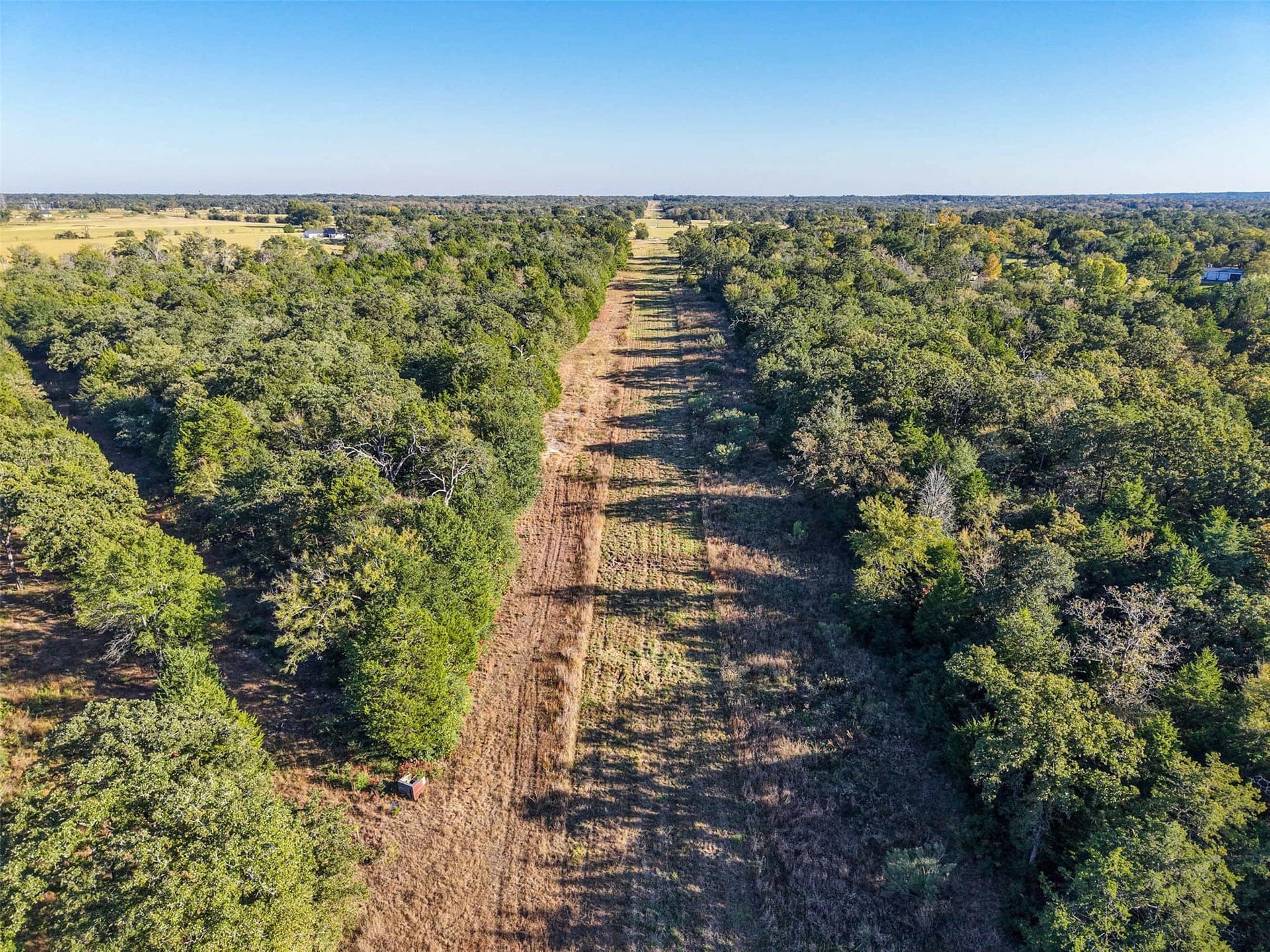 40 acres in Freestone County - photo 10