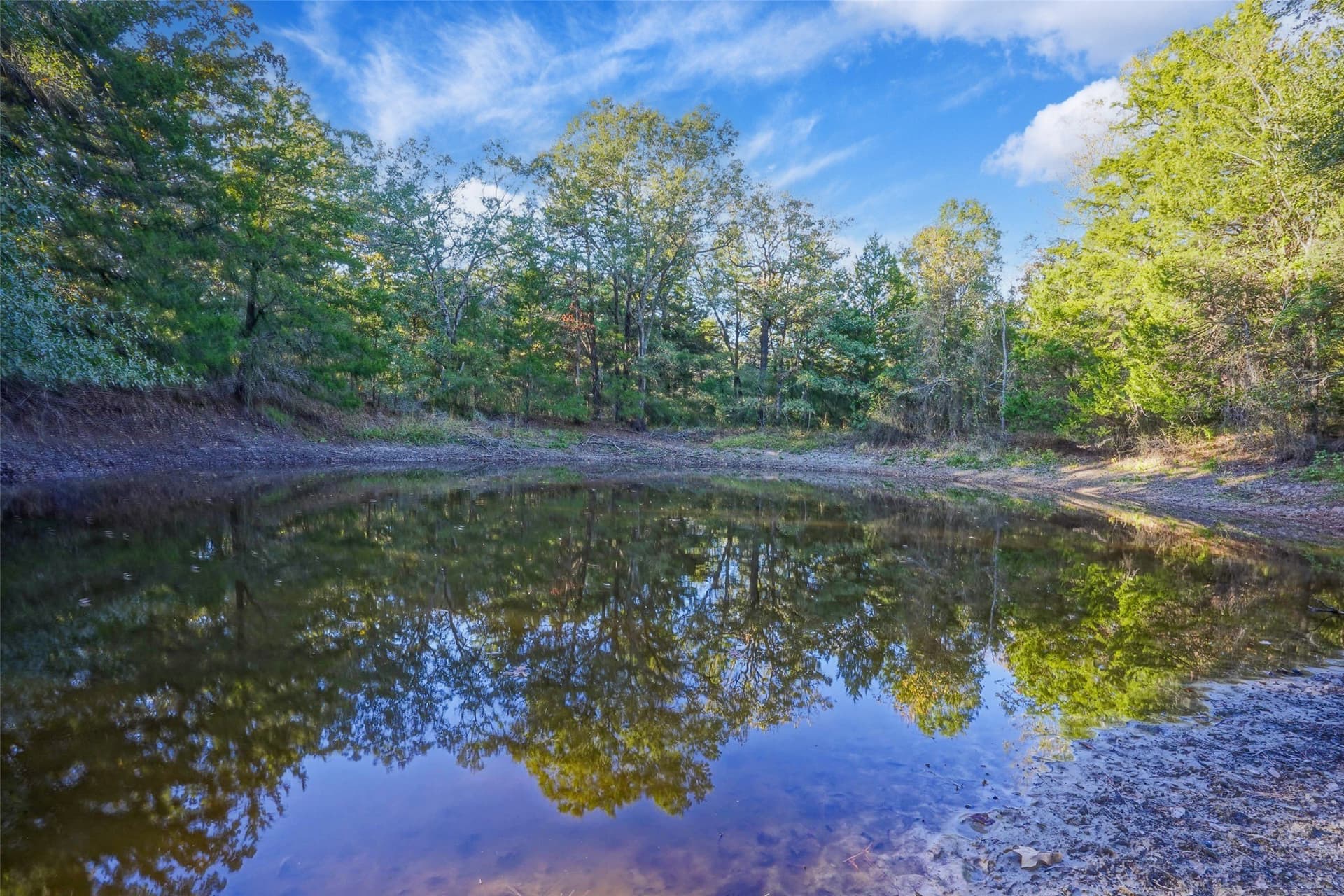 40 acres in Freestone County