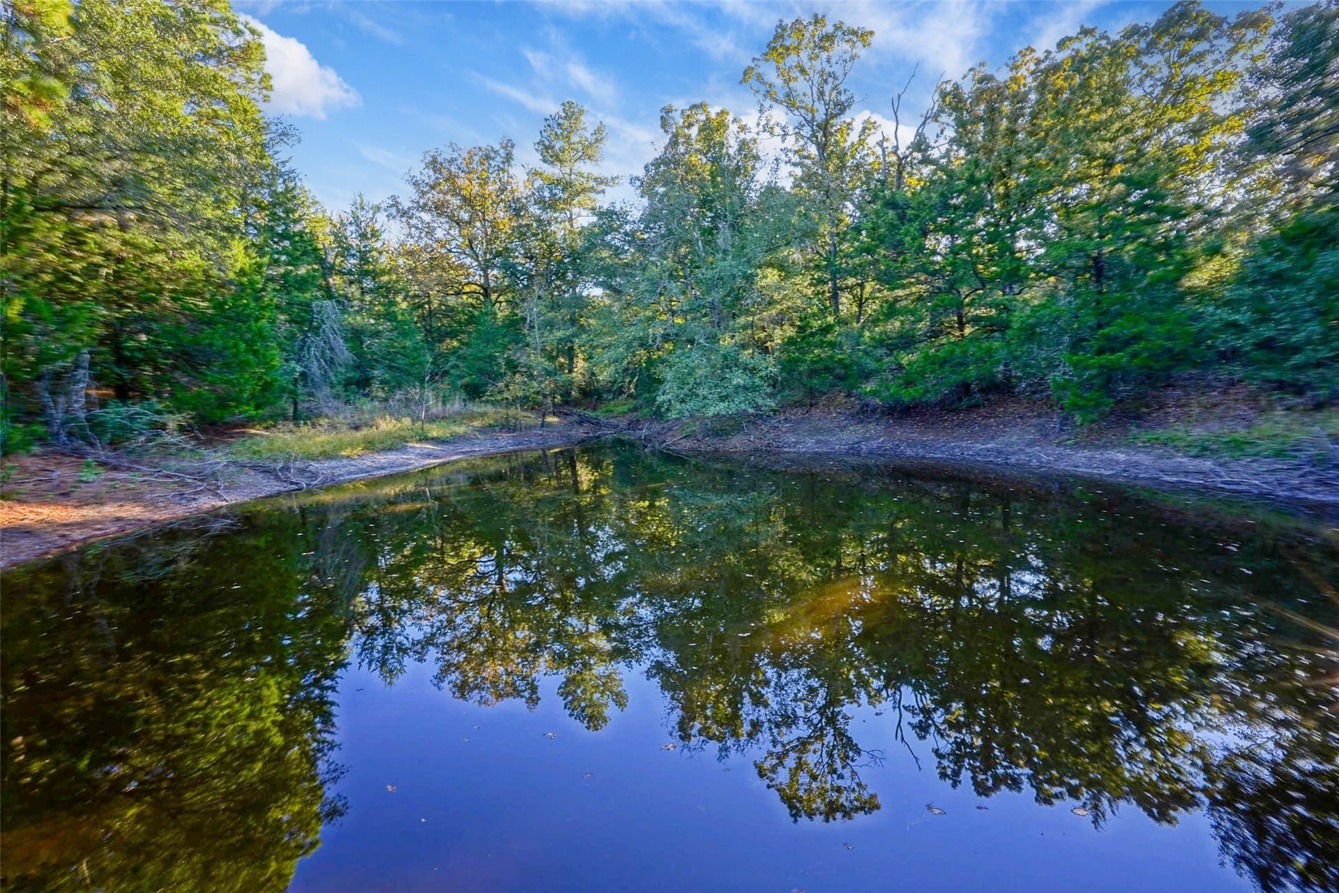 40 acres in Freestone County - photo 11