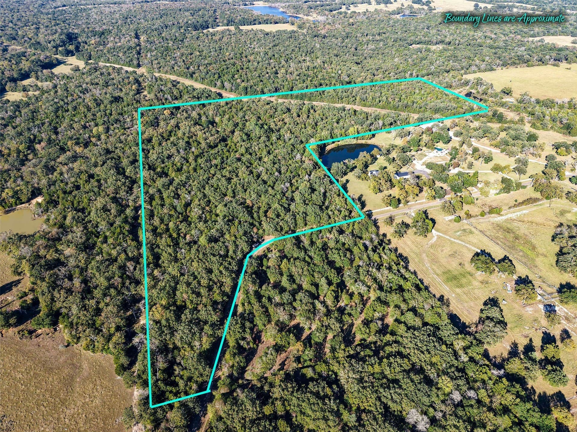 40 acres in Freestone County - photo 22